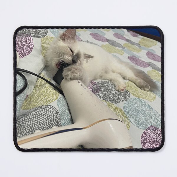 Item preview, purebred tabby cat eats hair dryer designed and sold by BS-animals.