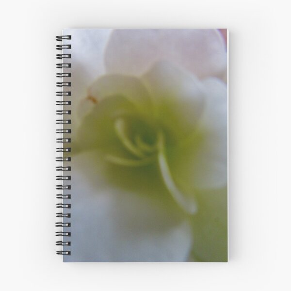 Item preview, White Begonia designed and sold by Shulie1.