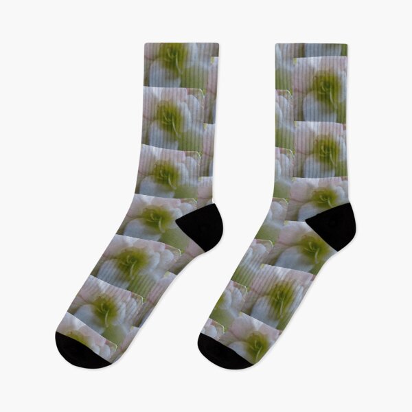 Item preview, White Begonia designed and sold by Shulie1.