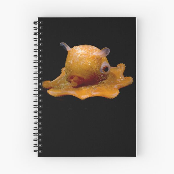 Item preview, Flapjack Octopus or Dumbo Octopus, Deep Sea designed and sold by ScienceSource.