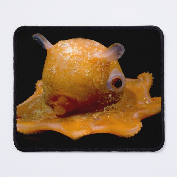 Item preview, Flapjack Octopus or Dumbo Octopus, Deep Sea designed and sold by ScienceSource.