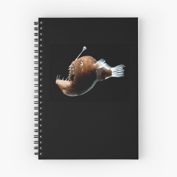 Item preview, Johnson's Abyssal Deep Sea Angler Fish designed and sold by ScienceSource.