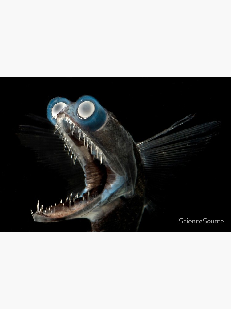 Telescope Fish, Deep Sea | Poster