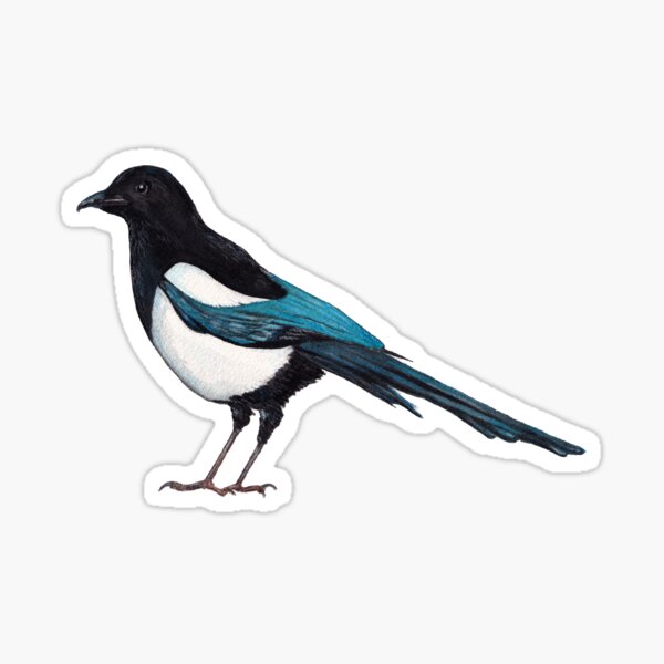 Item preview, Lone Magpie designed and sold by Lindsey Briggs.