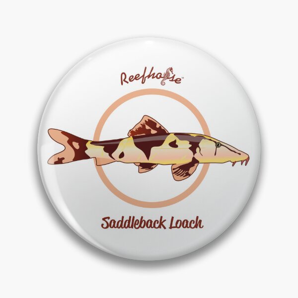 Item preview, Saddleback Loach designed and sold by KaplanCrypto.