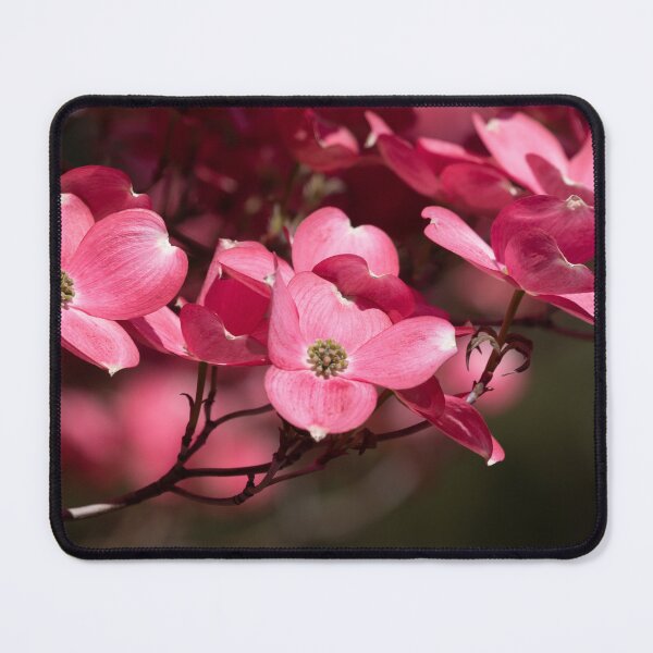 Item preview, Pink Dogwood Flowers designed and sold by SBNature.