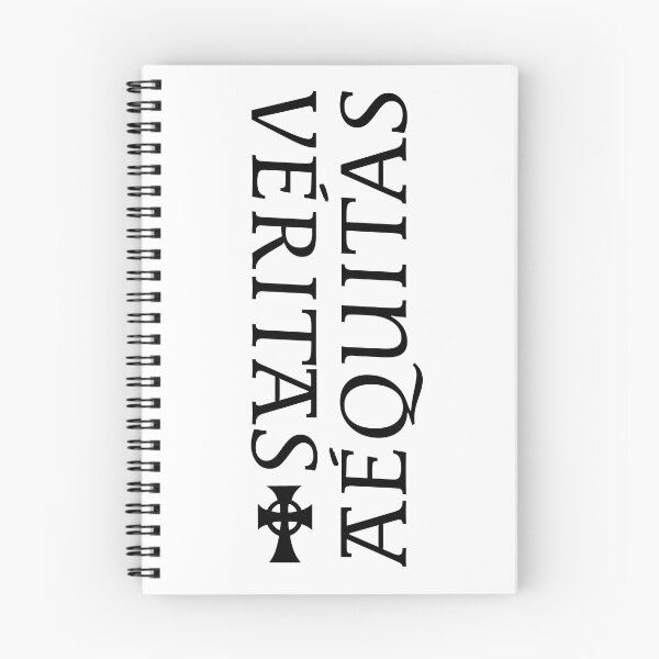 Aperçu de l'œuvre Les Saints - Vérité et Justice créée et vendue par jamiechall.