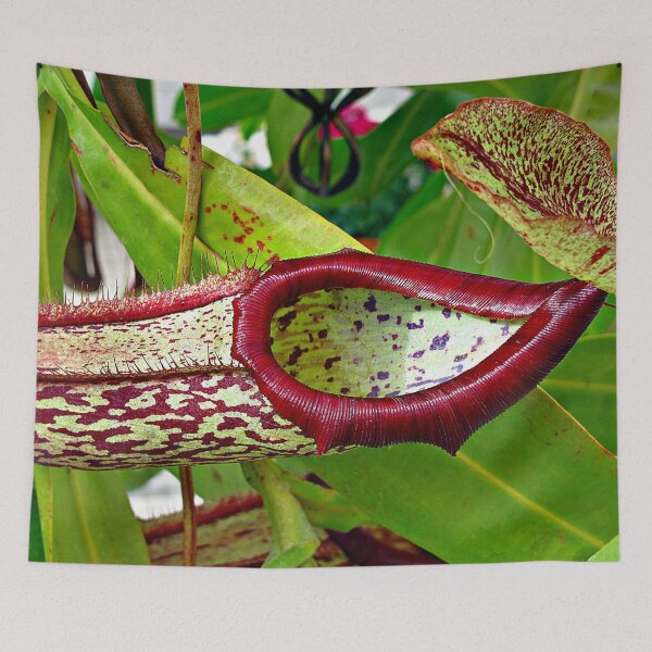 Item preview, Monkey Cup  designed and sold by Ethna Gillespie.