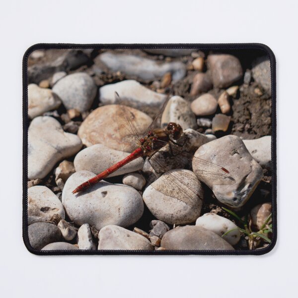 Item preview, Dragonfly on the Rocks. designed and sold by GingerMan2550.