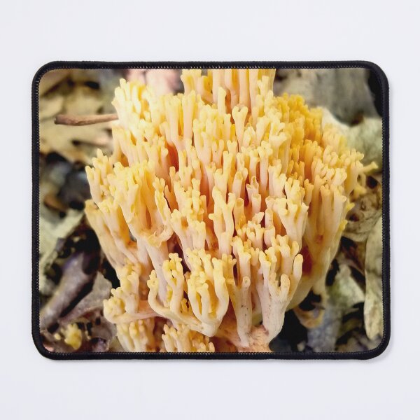 Item preview, Coral Fungus designed and sold by bjtomiko.