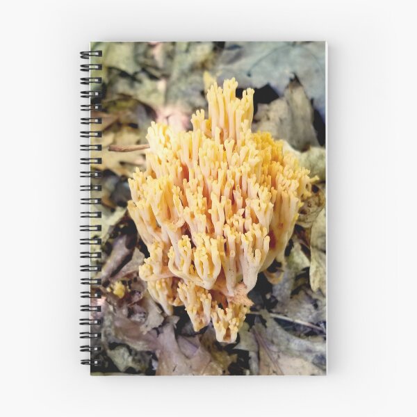 Item preview, Coral Fungus designed and sold by bjtomiko.