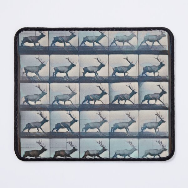 Item preview, Wandering Stag, Muybridge in Motion, mountain frost designed and sold by DreamingBeetle.