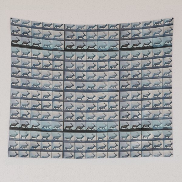 Item preview, Wandering Stag, Muybridge in Motion, mountain frost designed and sold by DreamingBeetle.