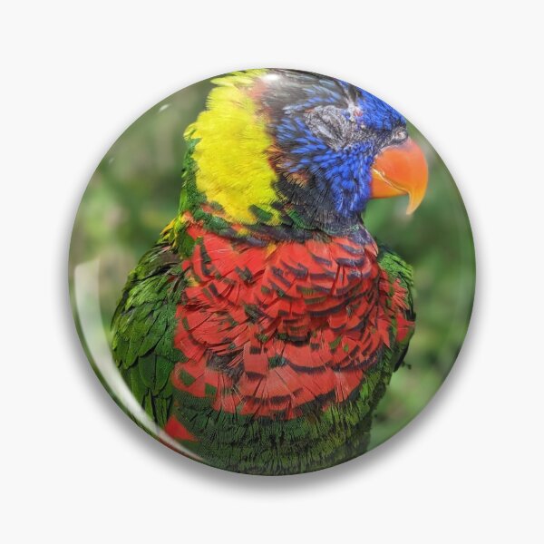 Item preview, Rainbow Lorikeet designed and sold by TheRealDanniX.