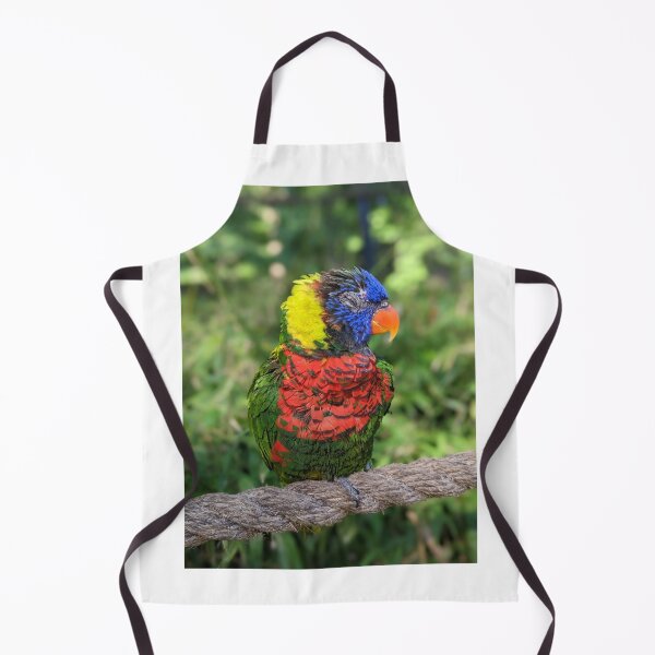 Item preview, Rainbow Lorikeet designed and sold by TheRealDanniX.