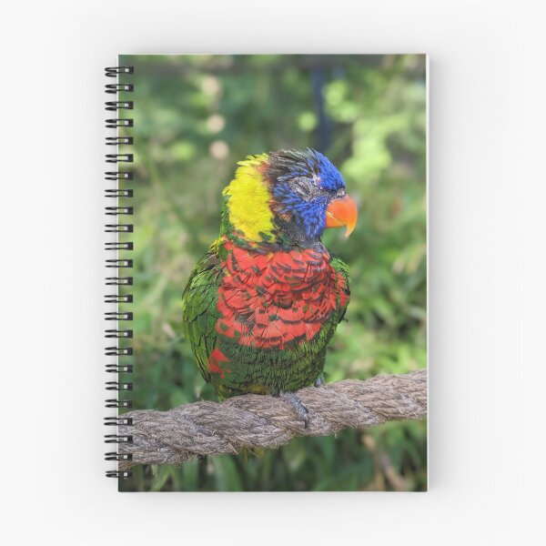 Item preview, Rainbow Lorikeet designed and sold by TheRealDanniX.