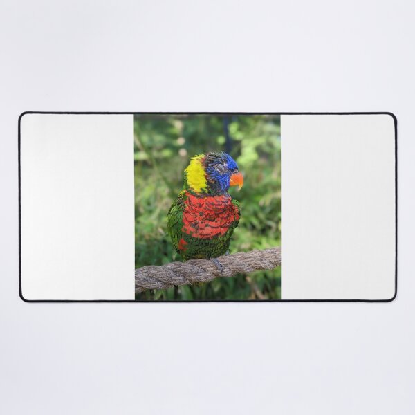Item preview, Rainbow Lorikeet designed and sold by TheRealDanniX.