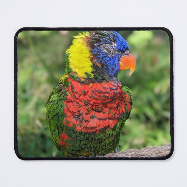 Item preview, Rainbow Lorikeet designed and sold by TheRealDanniX.