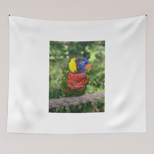 Item preview, Rainbow Lorikeet designed and sold by TheRealDanniX.
