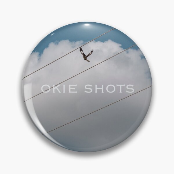 Aperçu de l'œuvre Okie Shots Oiseau volant créée et vendue par okieshotsprints.