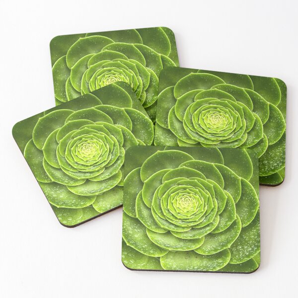 Item preview, Sensuous Succulent designed and sold by Randy Turnbow.