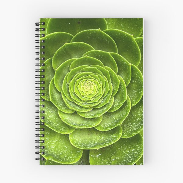 Item preview, Sensuous Succulent designed and sold by Randy Turnbow.