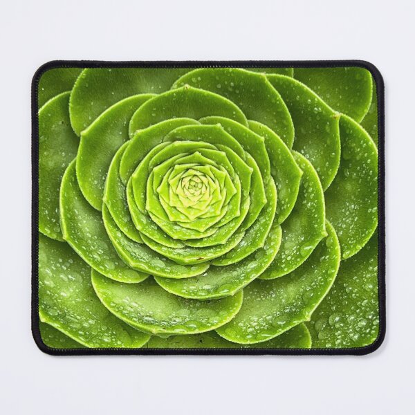Item preview, Sensuous Succulent designed and sold by Randy Turnbow.
