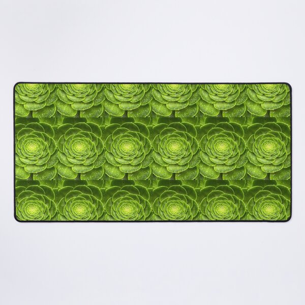 Item preview, Sensuous Succulent designed and sold by Randy Turnbow.