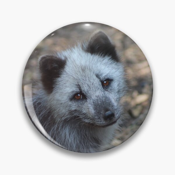 Item preview, Portrait of an Arctic Fox designed and sold by Ladymoose.