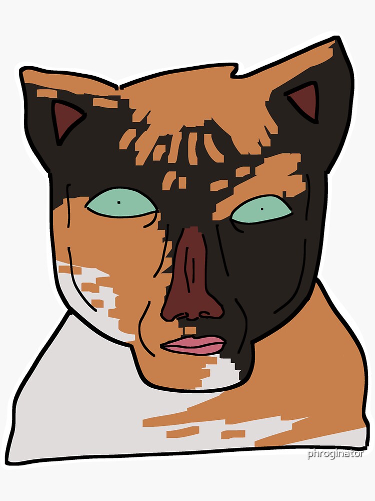 monday left me broken cat (leela) meme Sticker for Sale by phroginator