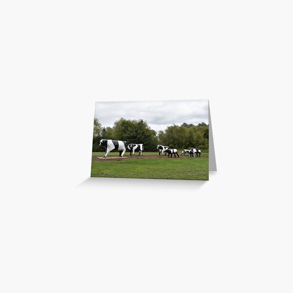 The Concrete Cow Herd Greeting Card
