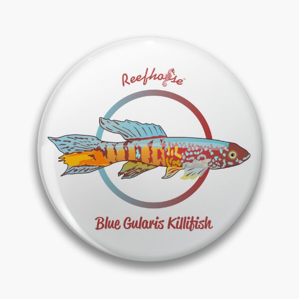 Item preview, Blue Gularis Killifish designed and sold by KaplanCrypto.