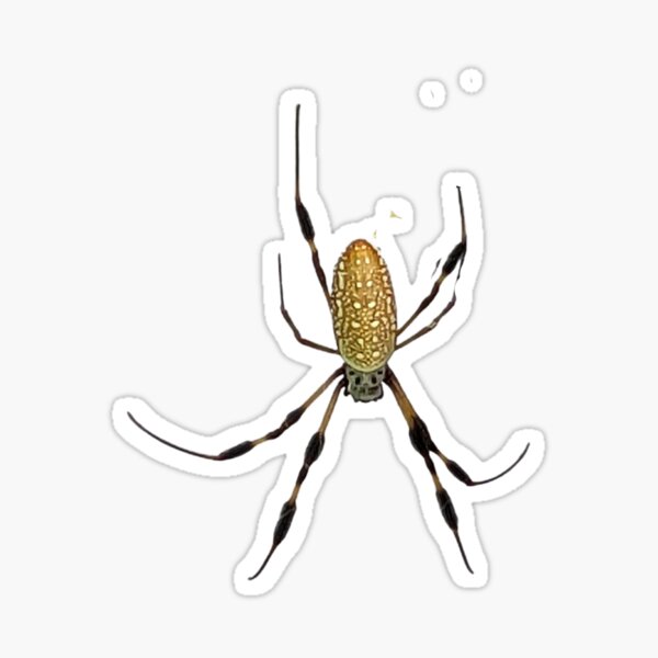 Item preview, Banana Spider designed and sold by HazelEyeStudio.