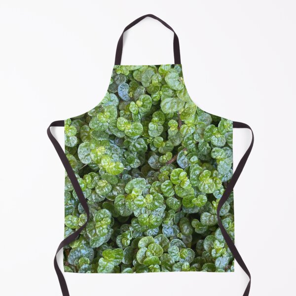 Item preview, Baby's Tears: Soleirolia soleirolii, green plant, ground cover designed and sold by LifeSpice.