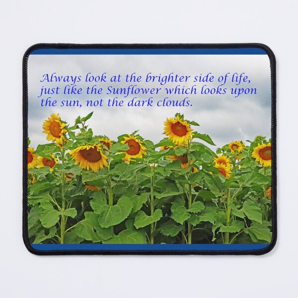 Item preview, Look On The Bright Side Of Life designed and sold by Deb Oppermann.