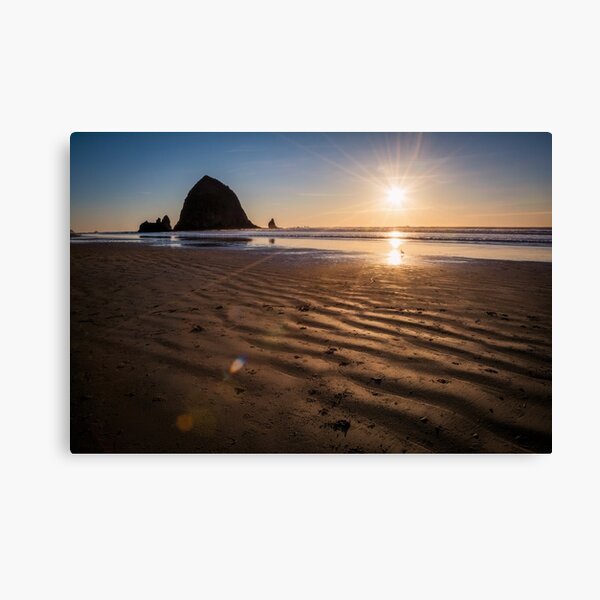 Needle in the Haystack Canvas Print