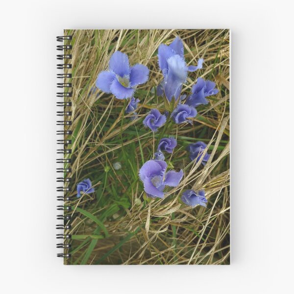 Item preview, Fringed Gentian designed and sold by J Rier Photography.