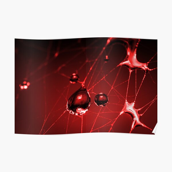 Red Droplets on Web Poster