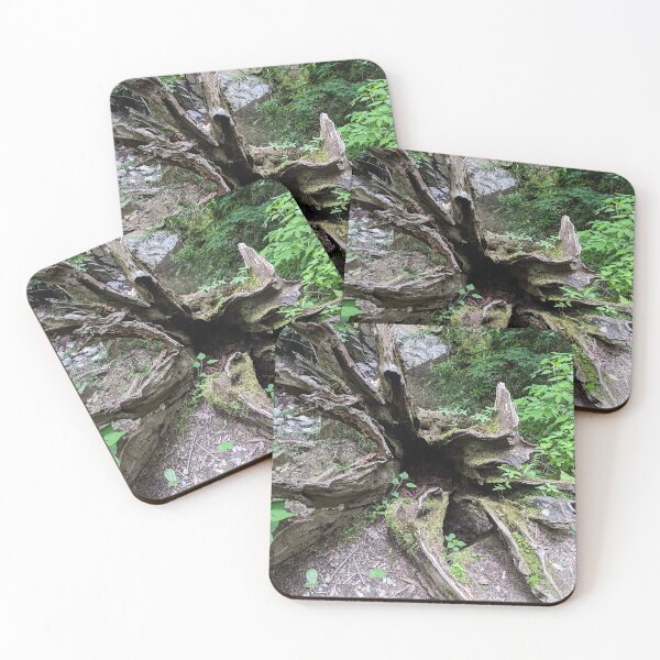 Item preview, Open Stump in Great Smokey Mountains National Park designed and sold by gistinker.