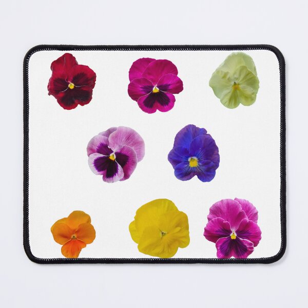 Item preview, Pansies are a beautiful and colourful. Can brighten up any space designed and sold by Debsgiftware Ward.