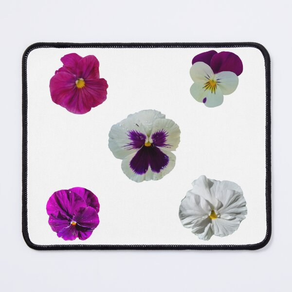 Item preview, Pansies are you looking for a fun and creative way to display your love for flowers, designed and sold by Debsgiftware Ward.