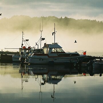 Artwork thumbnail, Its cold! by Bente Agerup