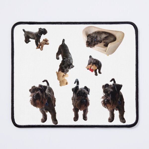 Item preview, Collection of mini Schnauzer number 1 lifelike dog designed and sold by Debsgiftware Ward.