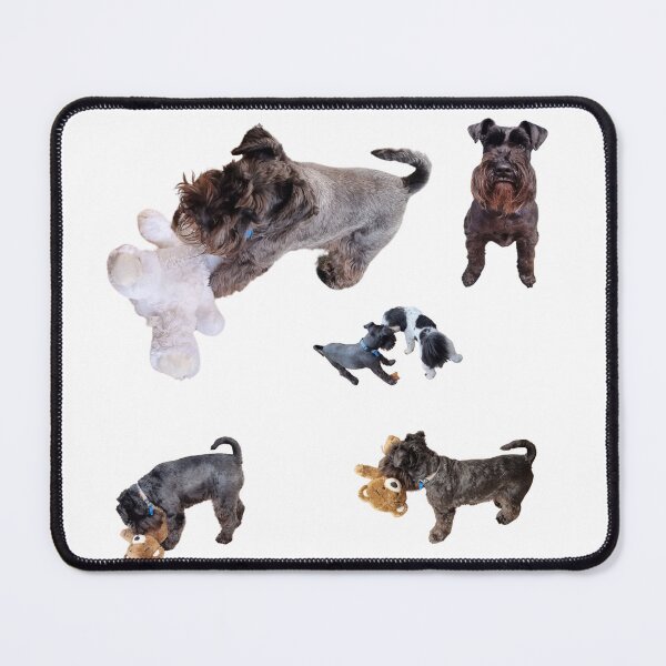 Item preview, Collection of mini Schnauzer number 2 lifelike dog designed and sold by Debsgiftware Ward.