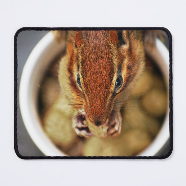 Item preview, Eye Contact designed and sold by Laurie Minor.