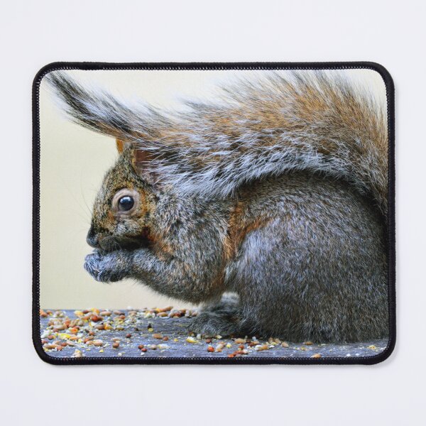 Item preview, Squirrel's hat designed and sold by Laurie Minor.
