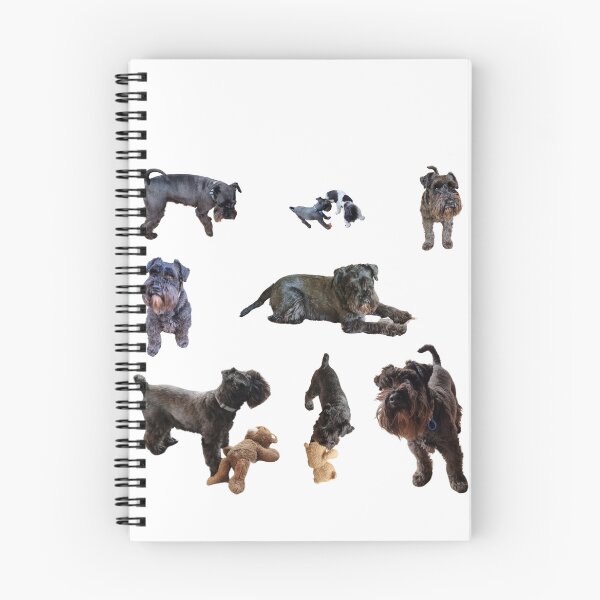Item preview, Collection of mini Schnauzer number 4 lifelike dog designed and sold by Debsgiftware Ward.