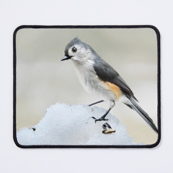 Item preview, Tufted Titmouse in Winter designed and sold by Laurie Minor.