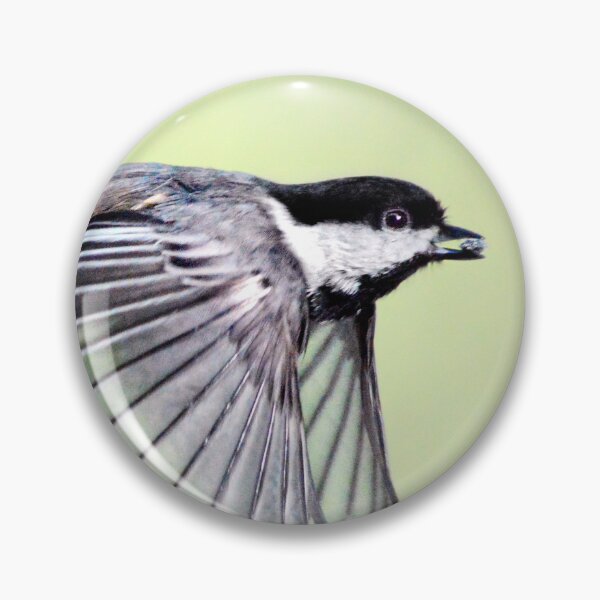 Item preview, Fly By designed and sold by Laurie Minor.