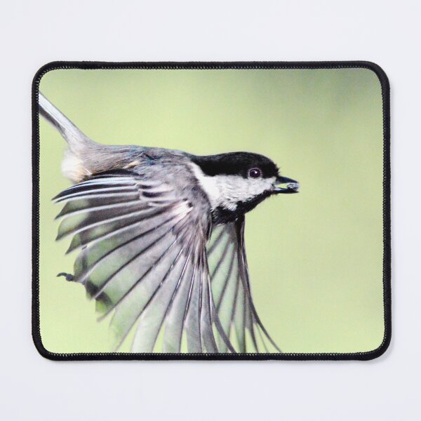 Item preview, Fly By designed and sold by Laurie Minor.